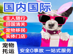 青岛机场货运国际宠物托运 【国